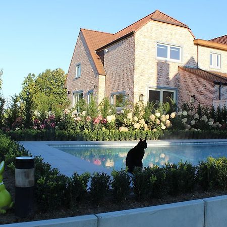 Cafcauter Bed and Breakfast Sint-Pieters-Kapelle  Exterior foto